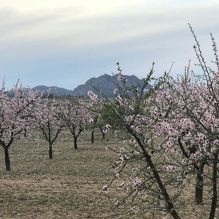 Cortijo De Los Castellanos Las Ventanas Ngoại thất bức ảnh