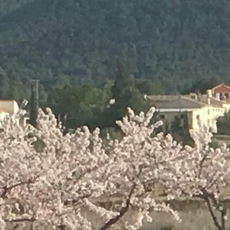 Cortijo De Los Castellanos Las Ventanas Ngoại thất bức ảnh