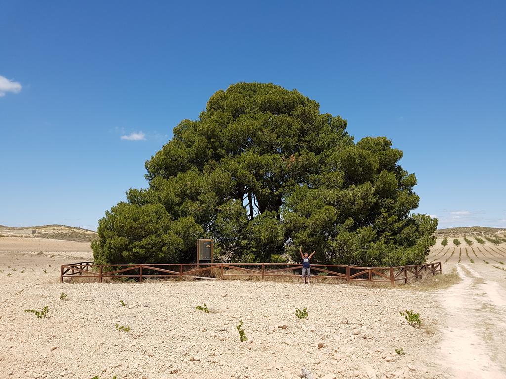 Cortijo De Los Castellanos Las Ventanas Ngoại thất bức ảnh