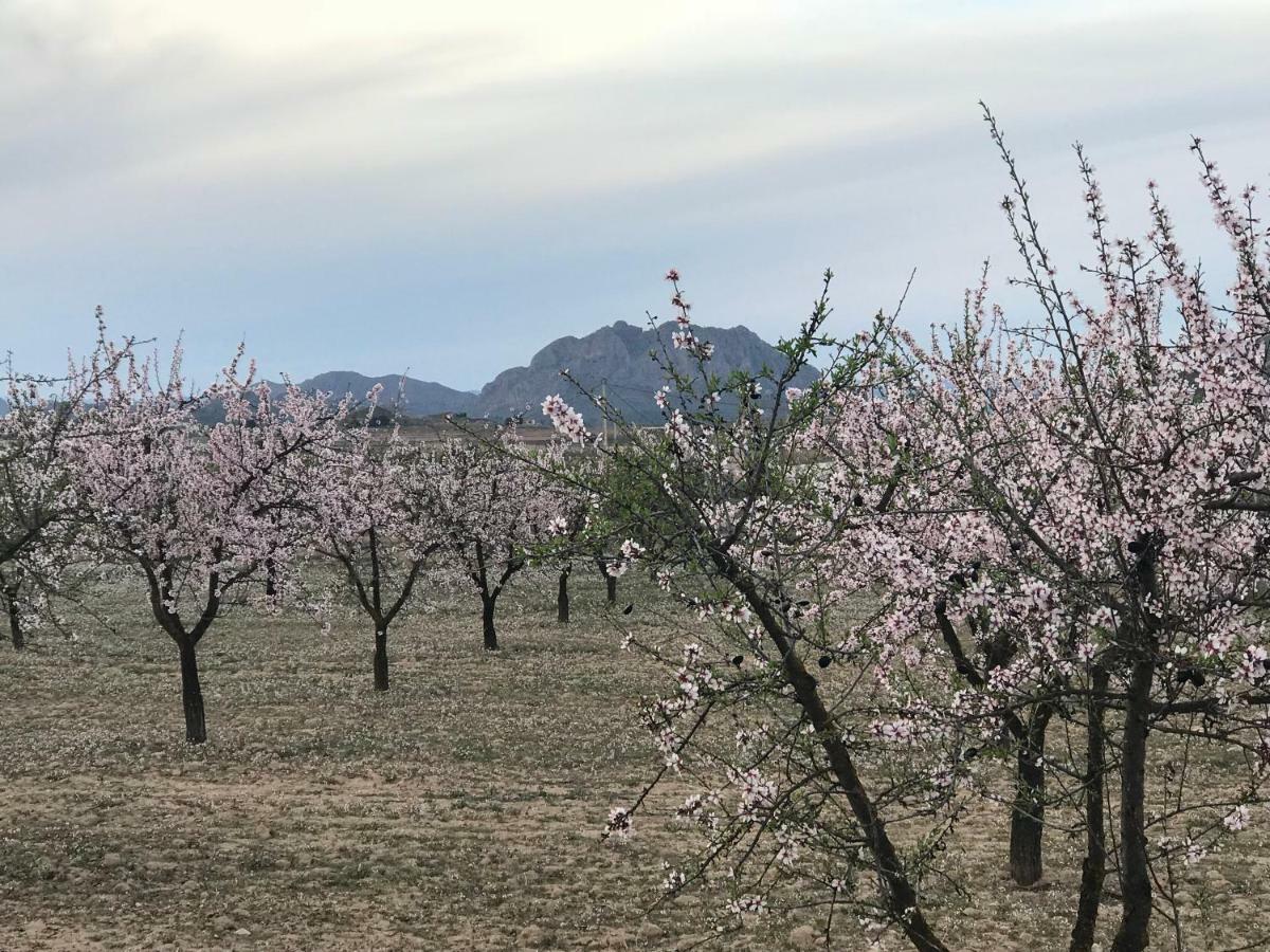 Cortijo De Los Castellanos Las Ventanas Ngoại thất bức ảnh