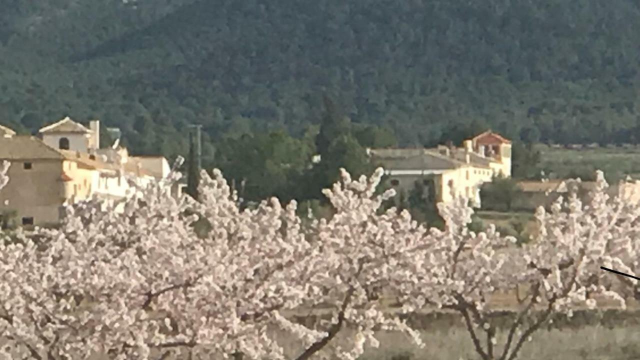 Cortijo De Los Castellanos Las Ventanas Ngoại thất bức ảnh